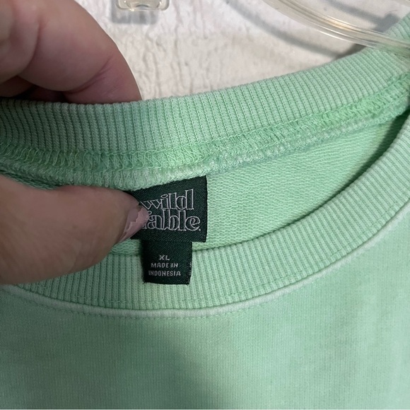 ⭐️ 3/$25 ⭐️ wild fable cropped sweatshirt size L - Picture 3 of 7